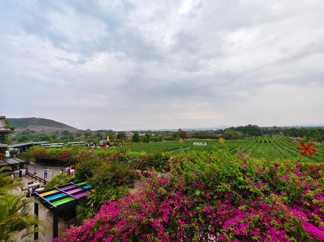 Sula Vineyards-纳西克必去景点