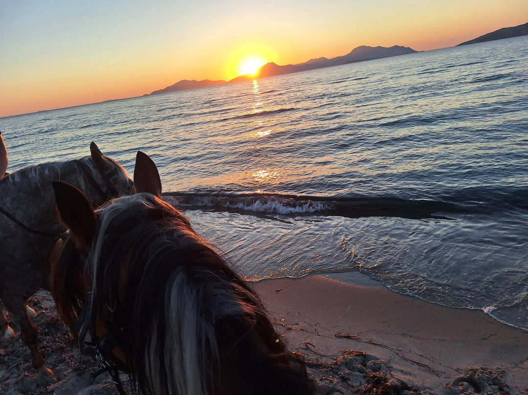 Erika's Horse Farm Kos-Marmari必去景点