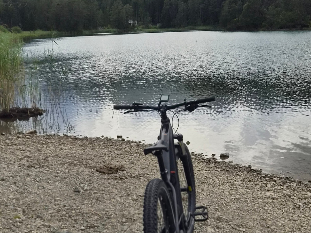 Radlgaudi Ehrwald - E-bike Verleih-埃尔森林市必去景点