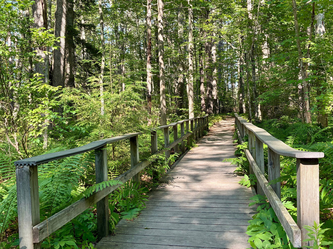 Rachel Carson National Wildlife Refuge-韦尔斯必去景点