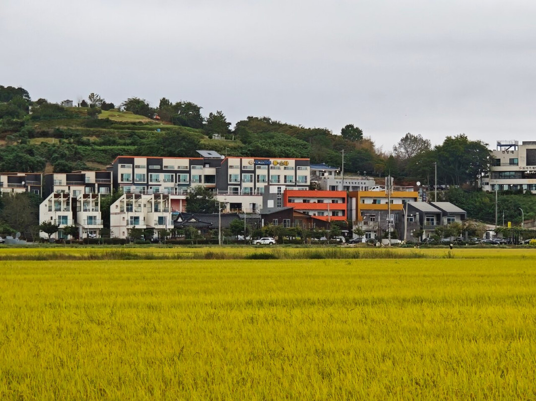 Suncheon Bay Wetland Reserve-顺天市必去景点