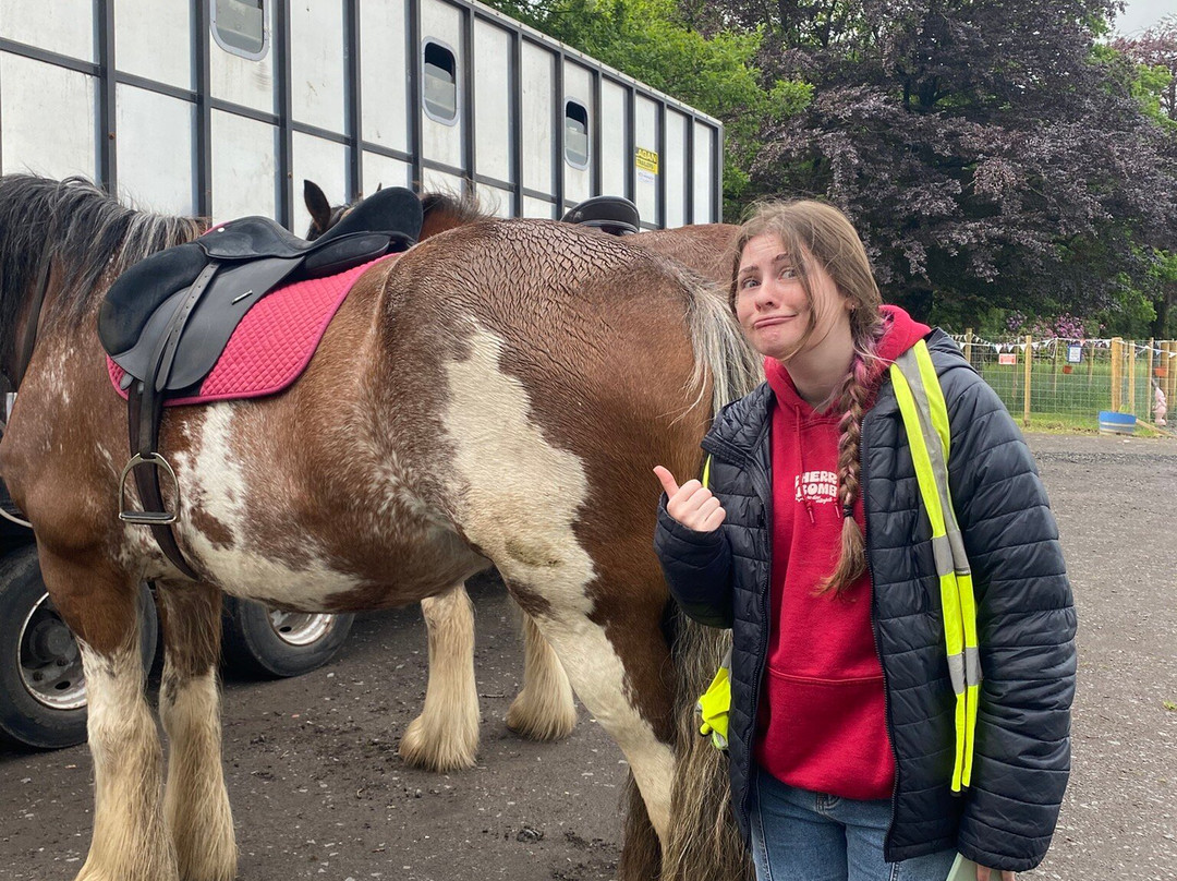 Blackstone Clydesdales Experience-Cumnock必去景点
