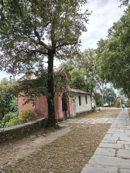 Santuario di Nostra Signora di Montallegro-拉帕洛必去景点