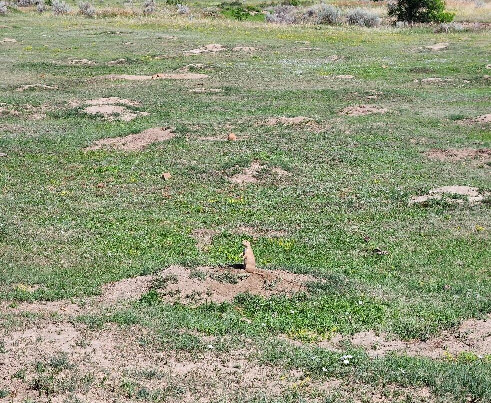 Theodore Roosevelt National Park-Medora必去景点