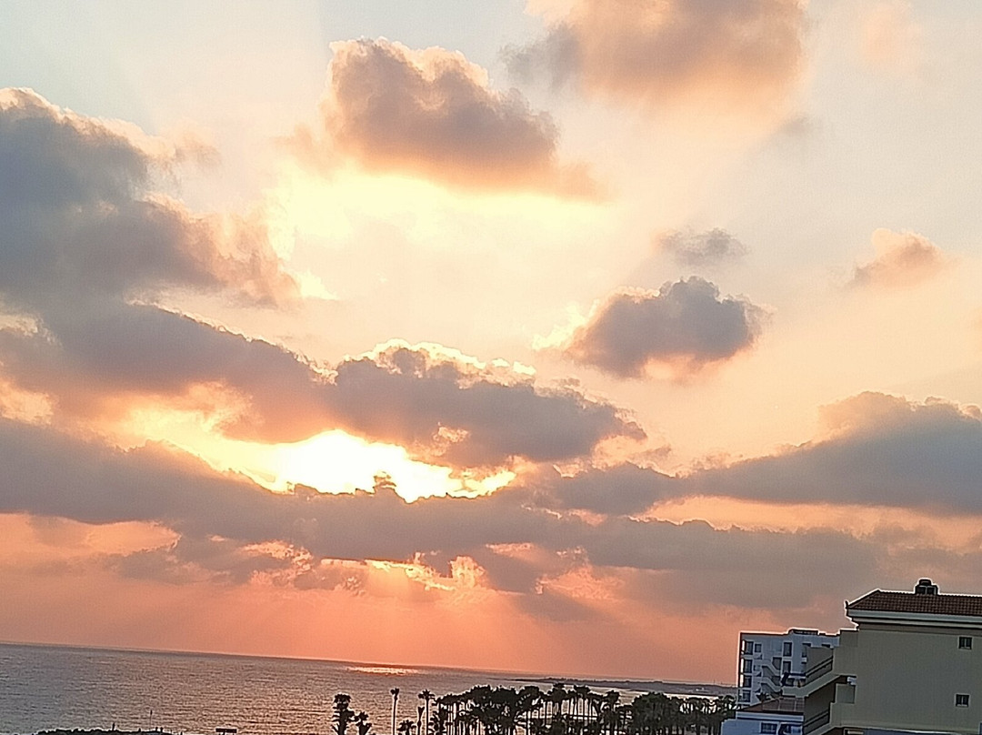 Constantinou Bros Pioneer Beach Hotel主图