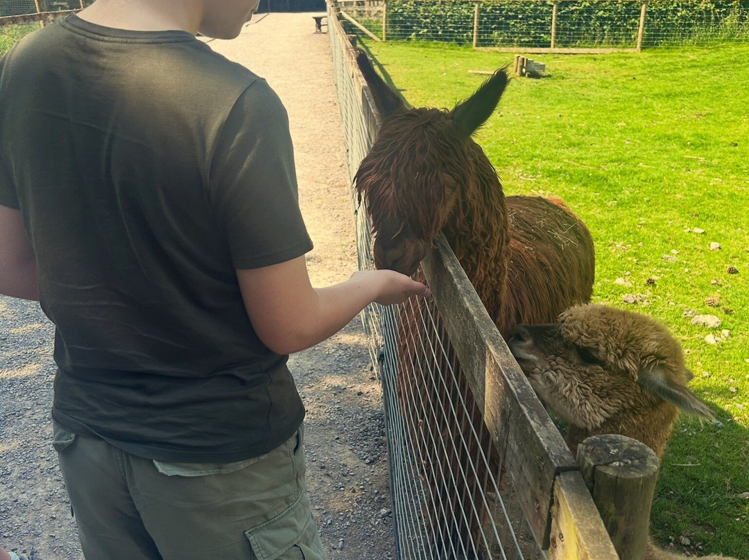 The Lake District Wildlife Park-Bassenthwaite必去景点