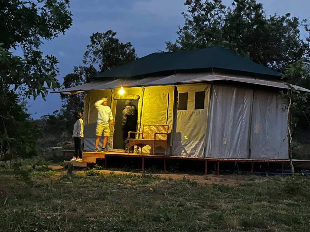 Sero Tented Camp-Seronera必去景点