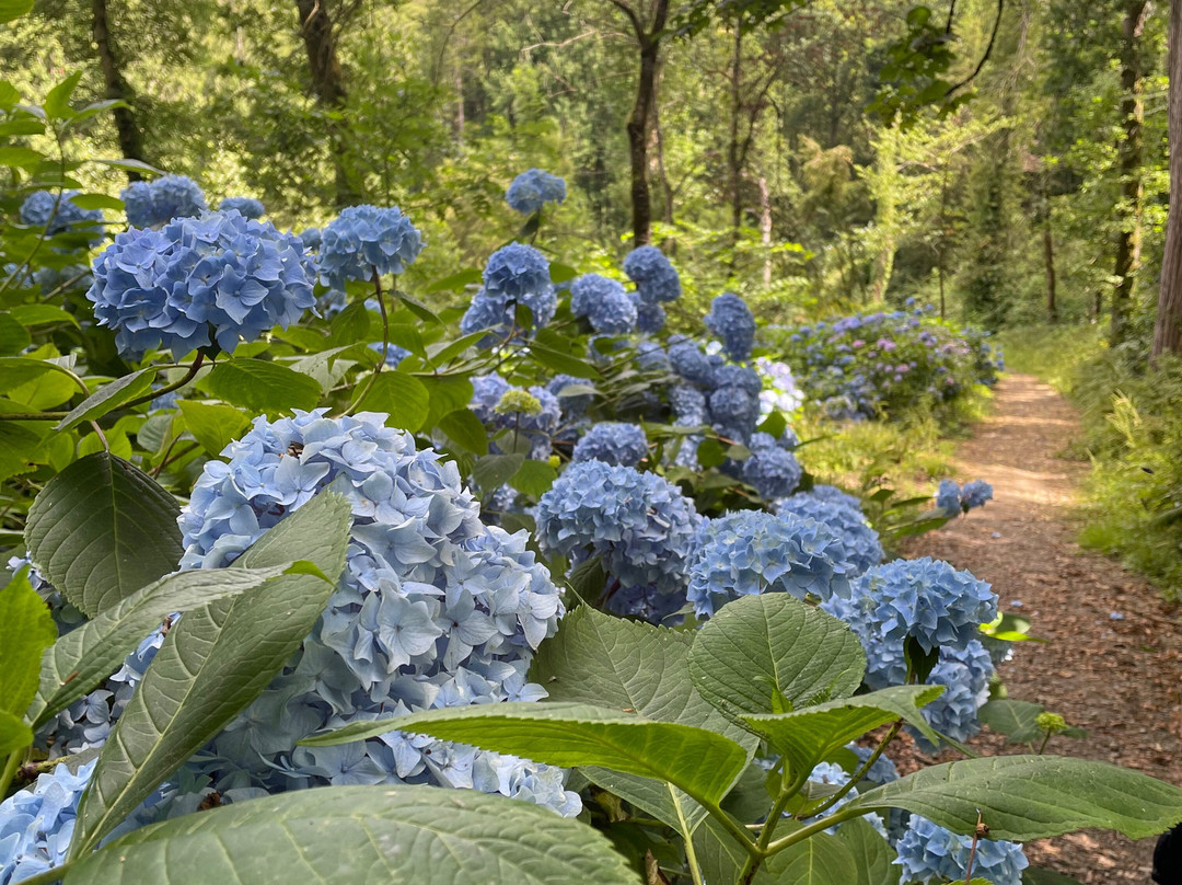 Tapeley Park Gardens-Instow必去景点