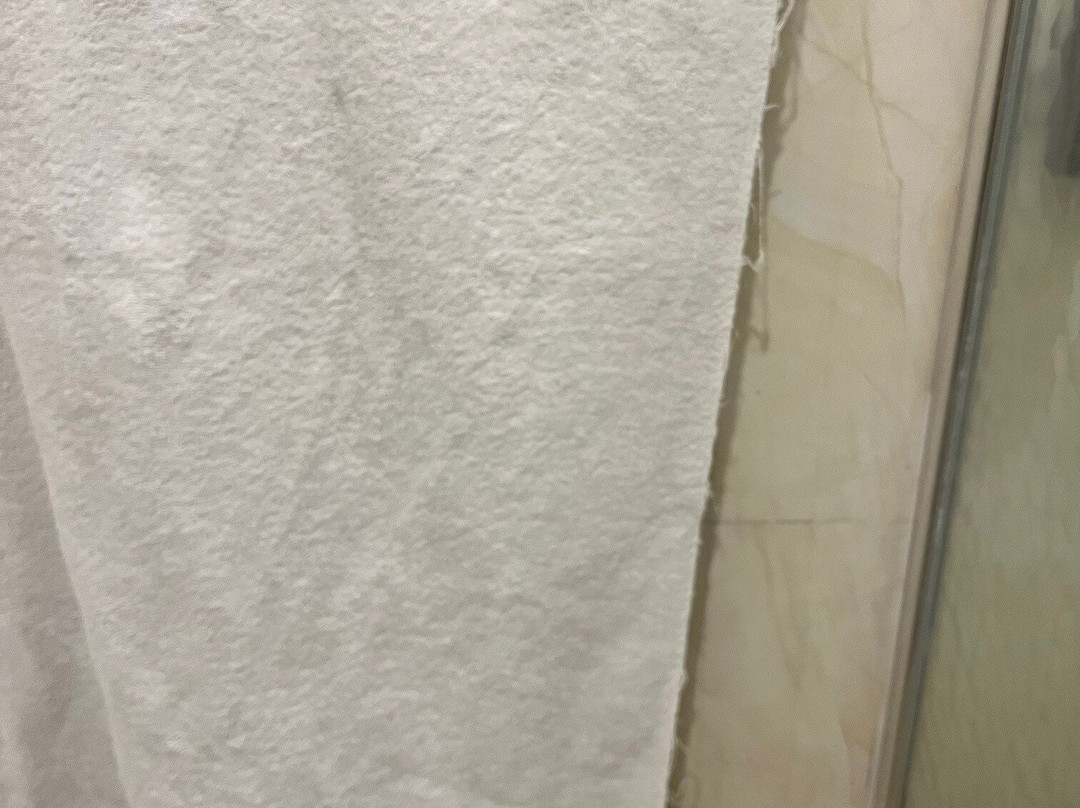 苏度阿拉利亚酒店主图