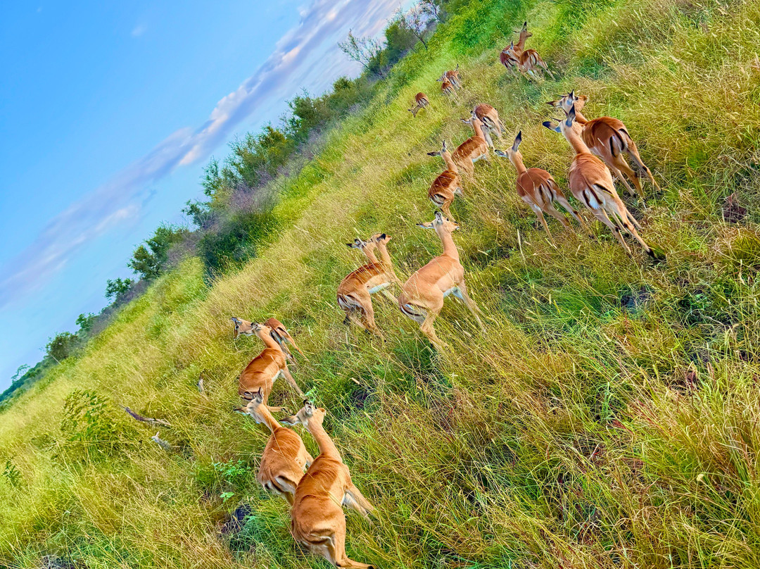 Umkumbe Safari Lodge主图