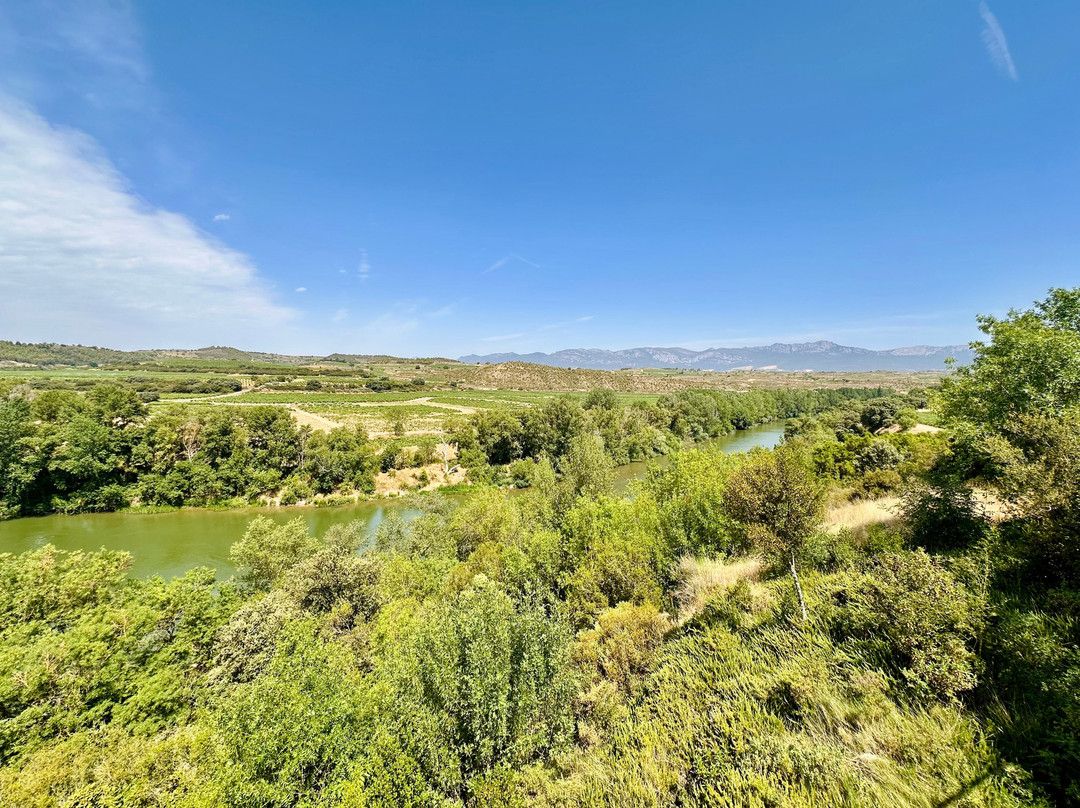 Bodega Finca Valpiedra-Fuenmayor必去景点