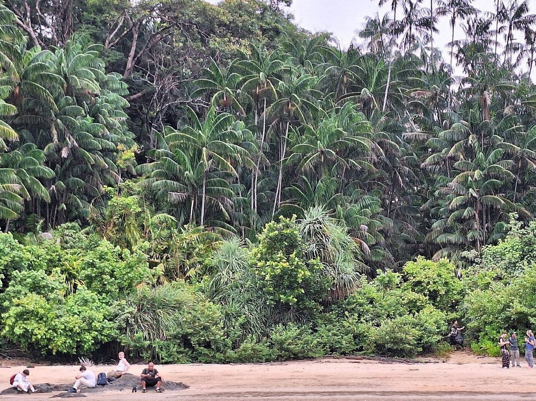 Bako National Park-古晋必去景点