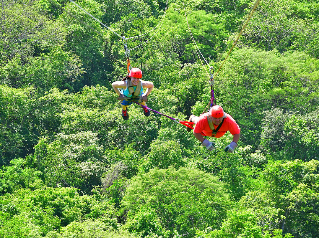 Blessing Tours-Area de Conservacion Guanacaste必去景点