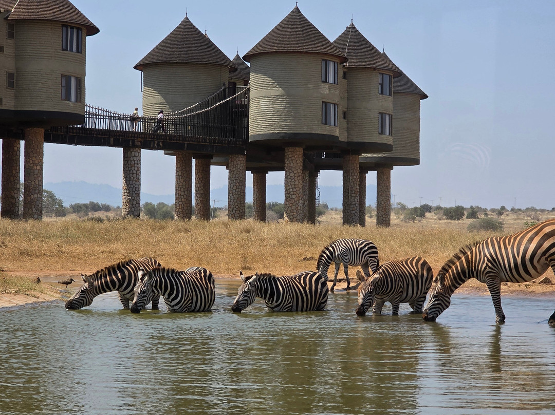 Taita Hills Wildlife Sanctuary-西察沃国家公园必去景点