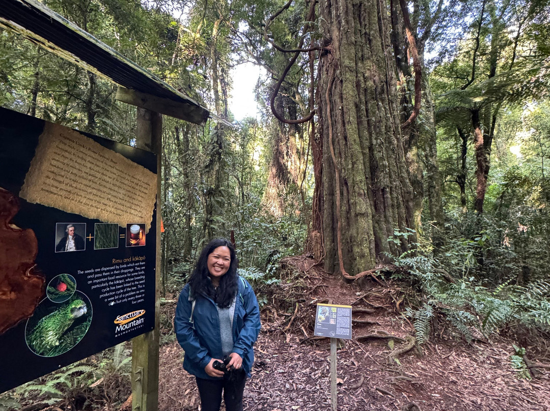 Sanctuary Mountain Maungatautari-Pukeatua必去景点