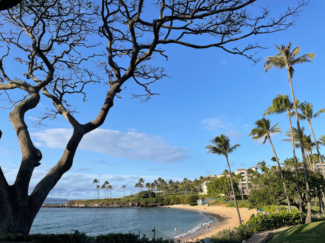 Kapalua Coastal Trail-拉海纳必去景点