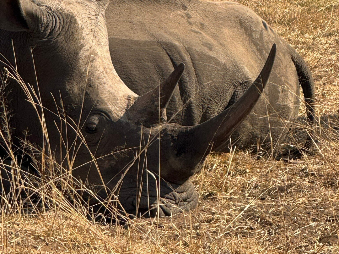 Mosi-oa-Tunya National Park-李文斯顿必去景点