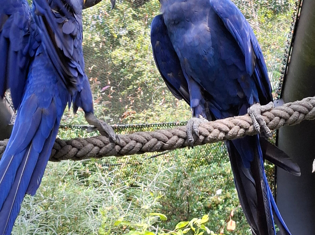 Zoo Wuppertal-伍珀塔尔必去景点