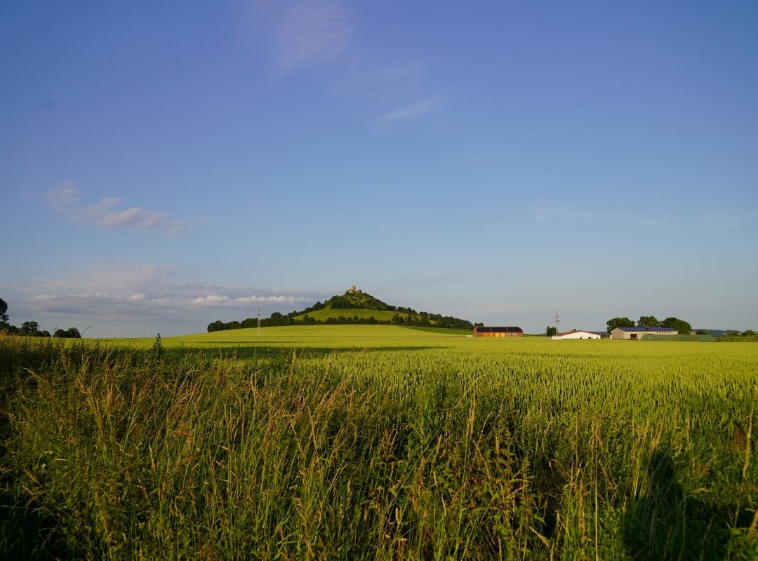 Burg Desenberg-Warburg必去景点