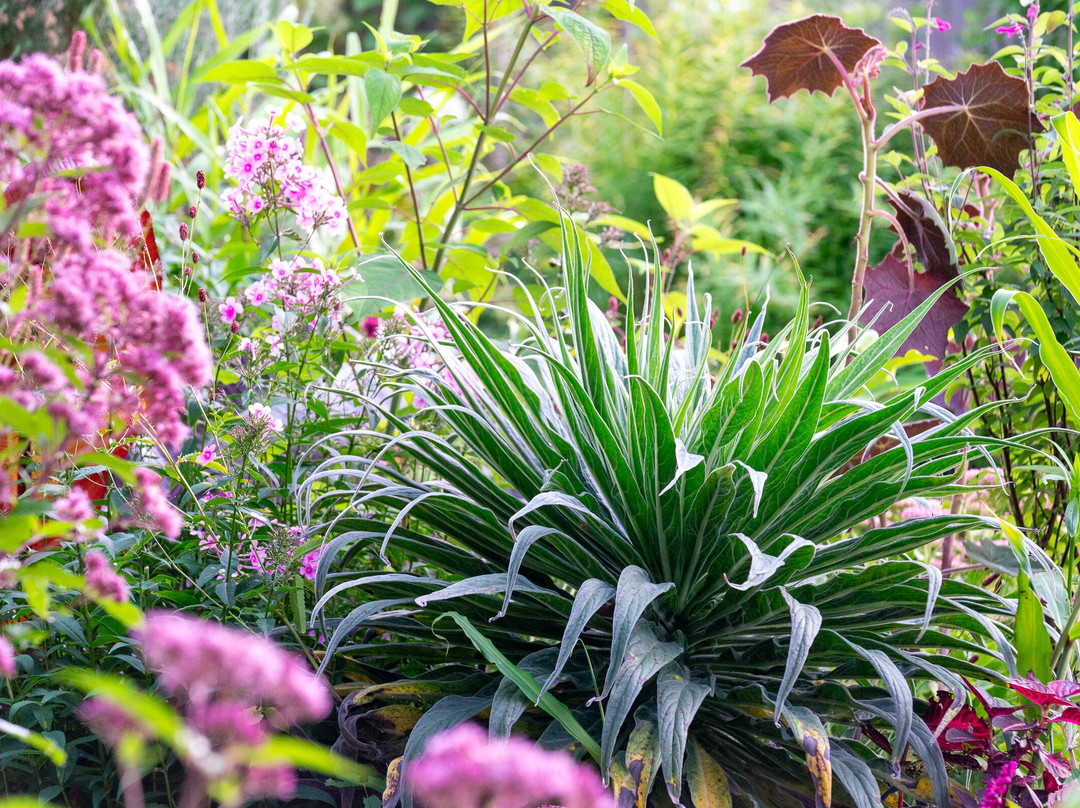 Patthana's Garden-Kiltegan必去景点