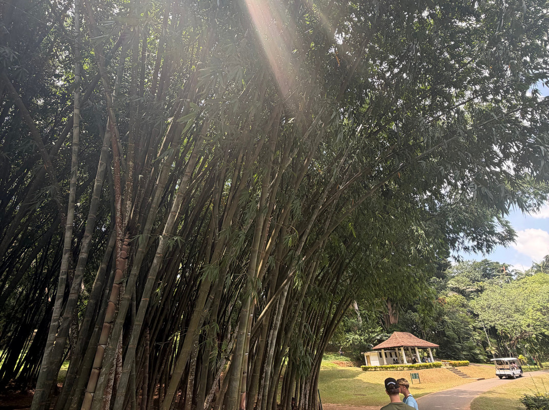 D.S Tours Day Tours-尼甘布必去景点