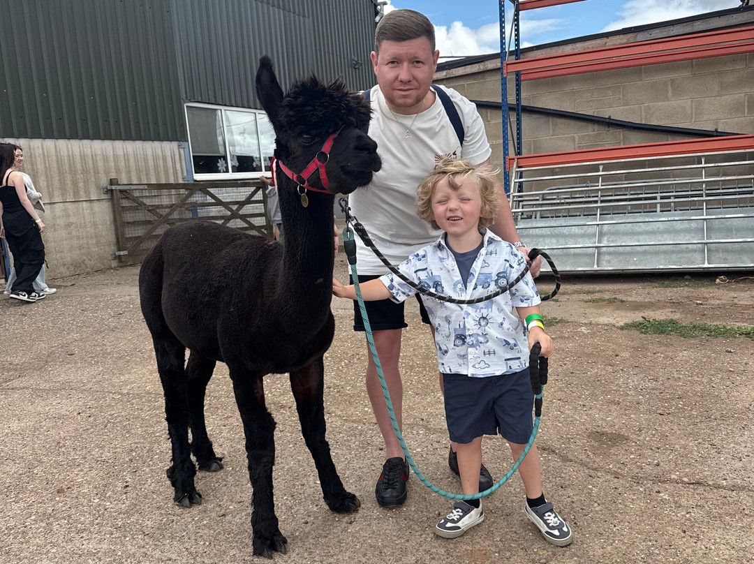 Charnwood Forest Alpacas-Boundary必去景点