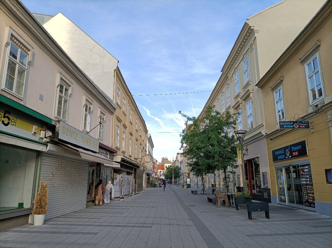 Burg Wiener Neustadt-维也纳新城必去景点