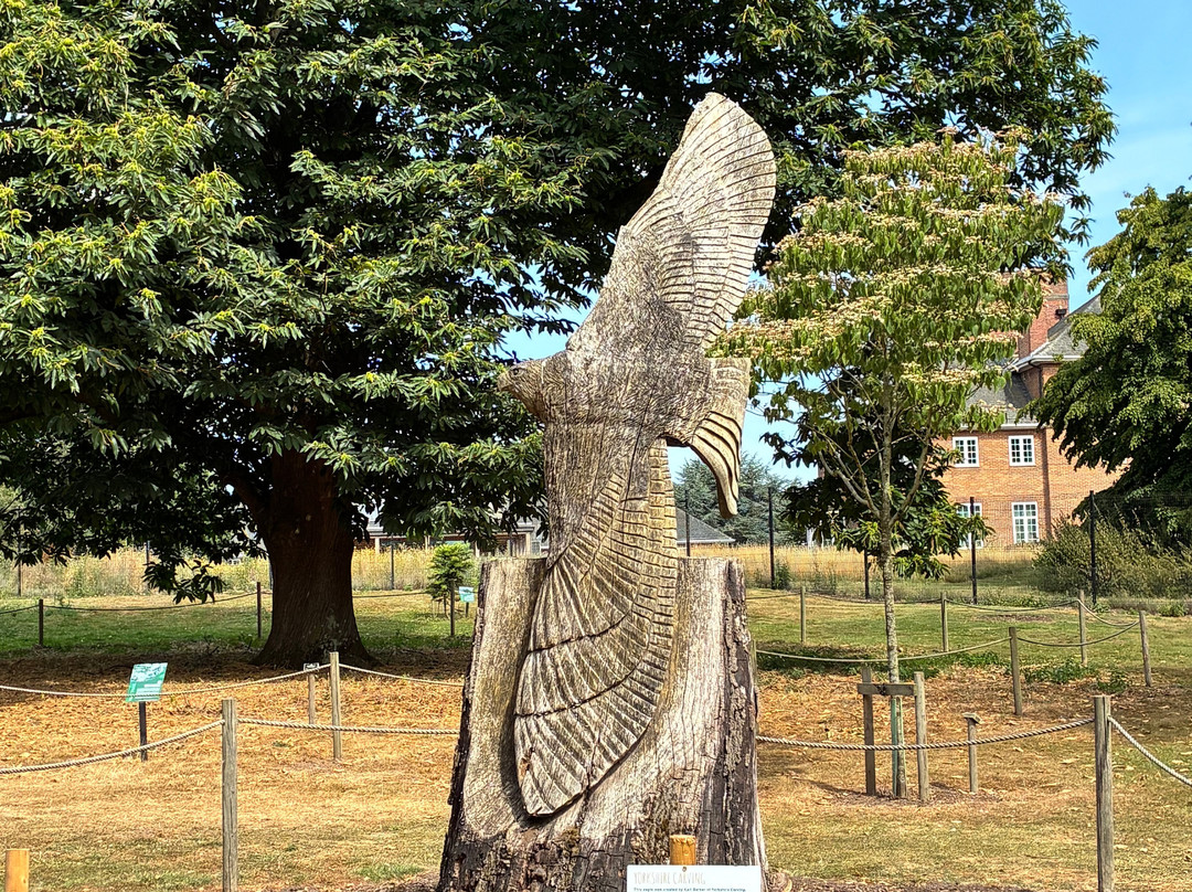 Askham Bryan Wildlife & Conservation Park-约克必去景点