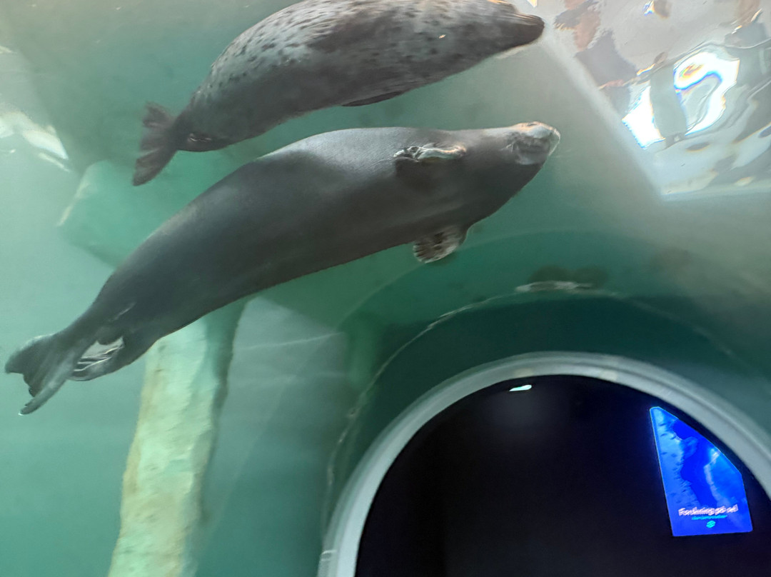 北极星水族馆-特罗姆瑟必去景点