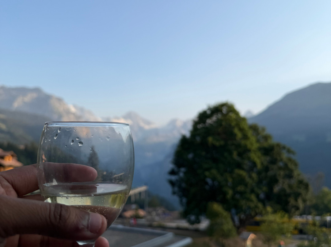 温根西尔伯霍恩酒店主图