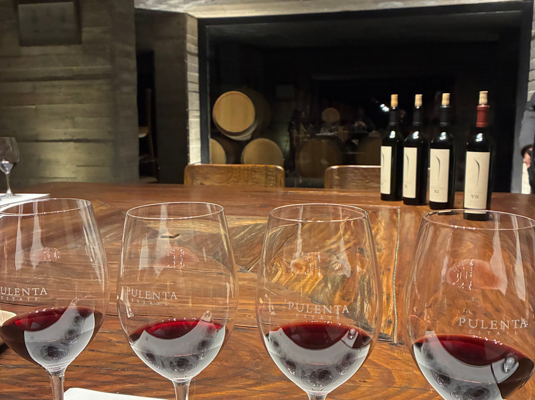 Pulenta Estate Winery-阿格雷洛必去景点
