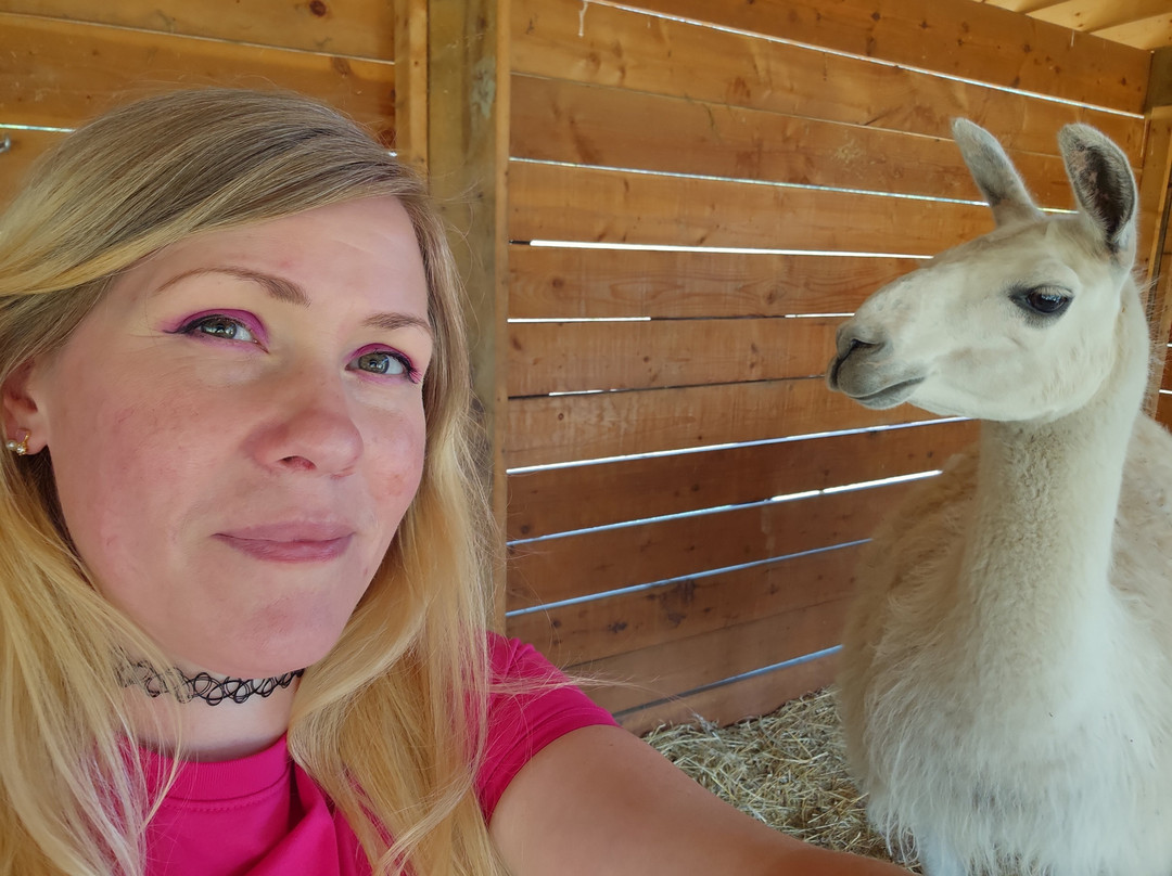 The Llama Sanctuary-Tappen必去景点