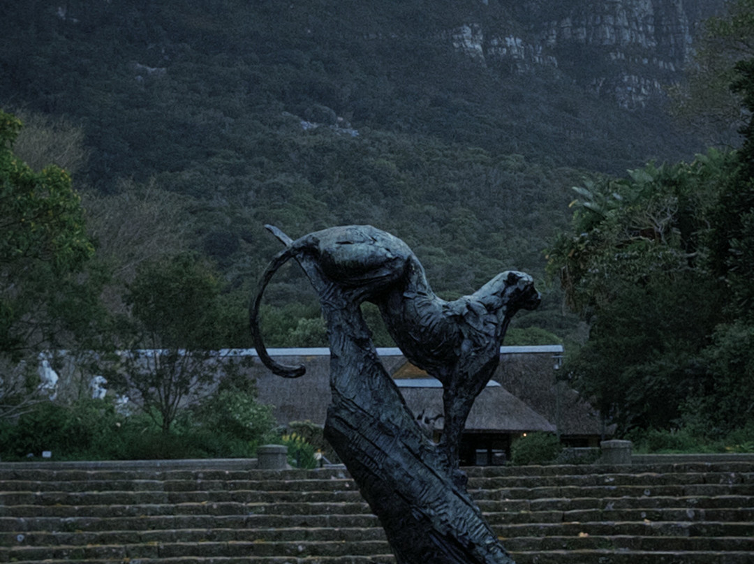 康斯坦博西国家植物园-Newlands必去景点