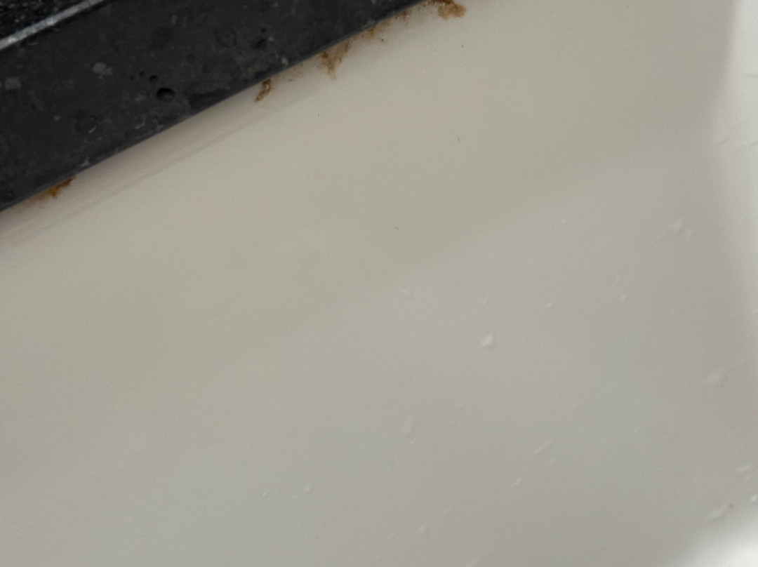 达拉斯, 嘲鸫酒店, 臻品之选酒店主图