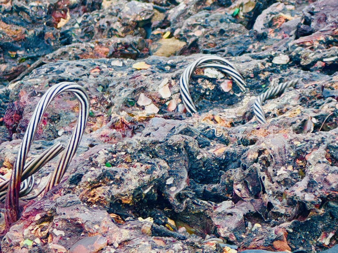 Glass Beach-布拉格堡必去景点