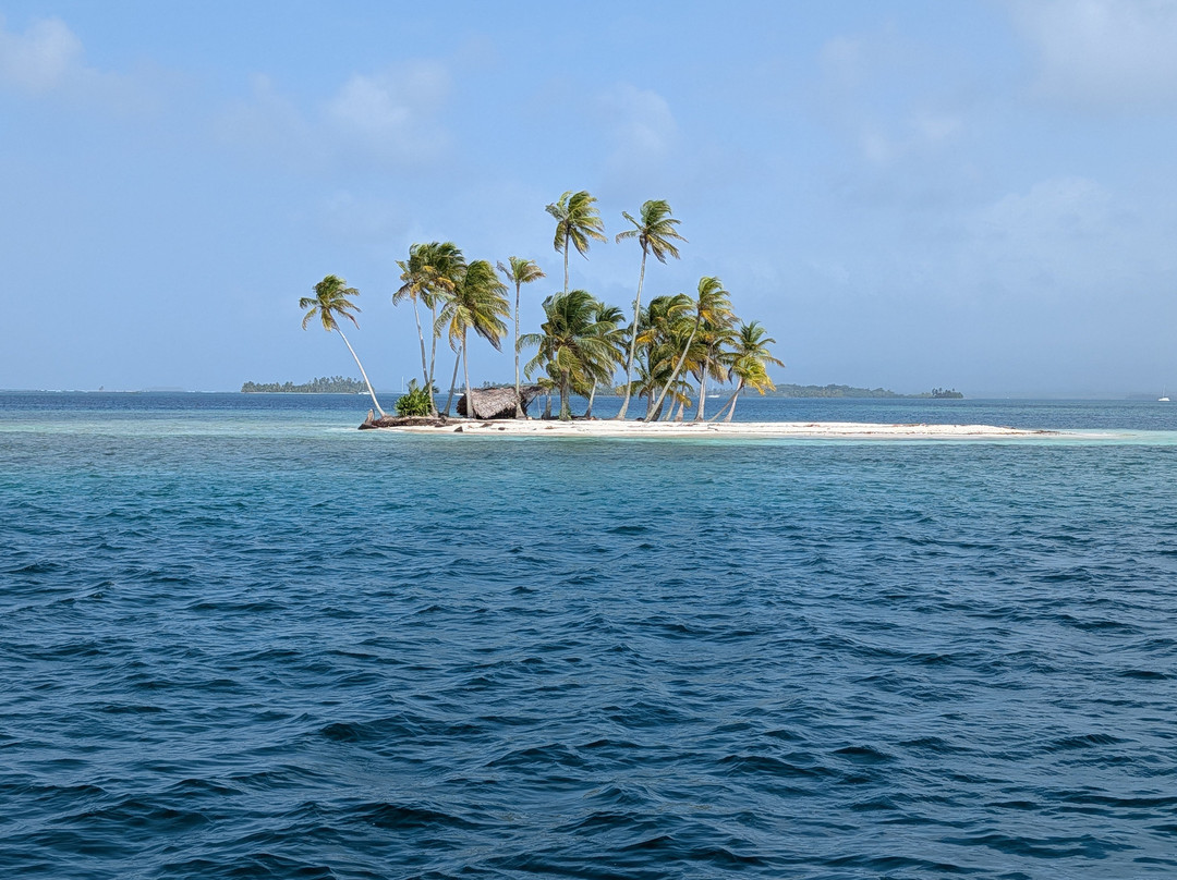 Flying Ginny Catamaran Charter-埃尔波韦尼尔必去景点