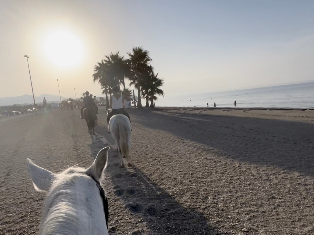 Jade Equestrian Nerja-内尔哈必去景点