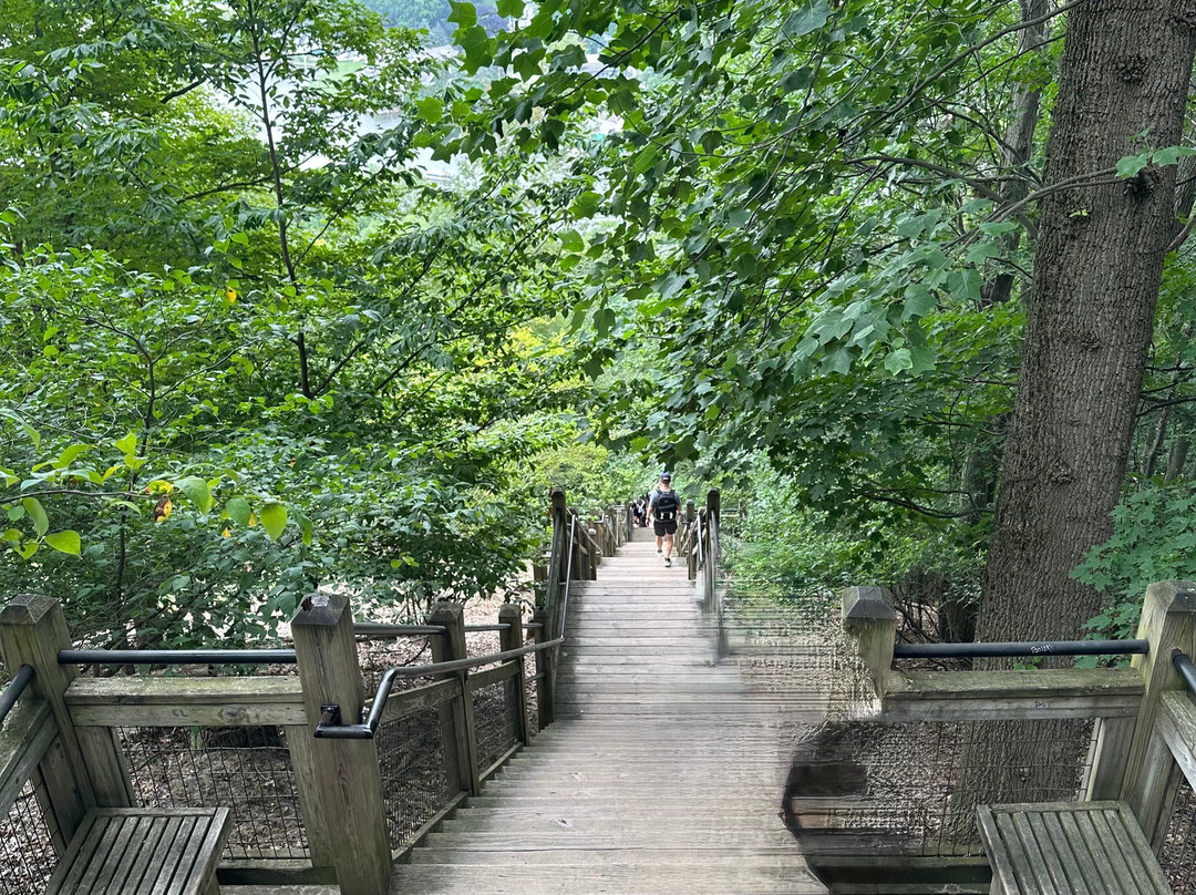 Mount Baldhead Park-索格塔克必去景点