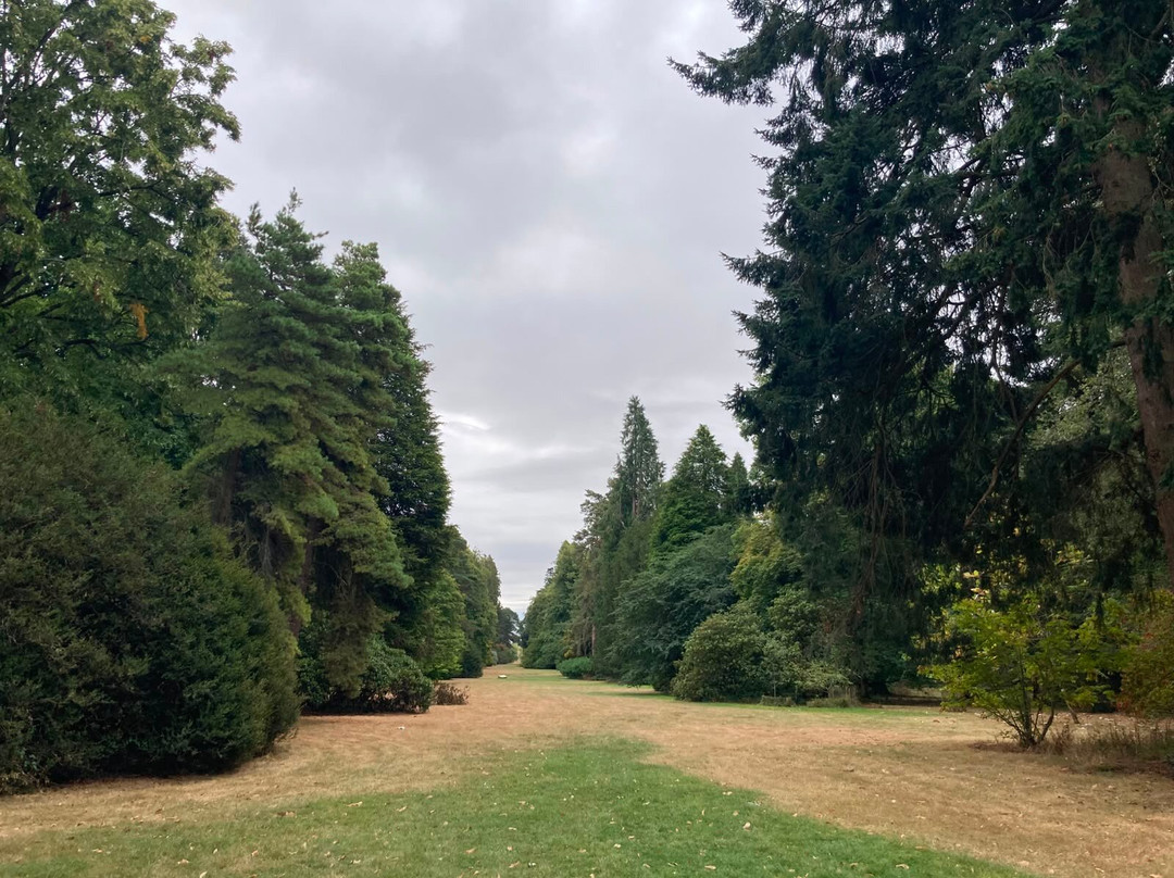 Westonbirt Arboretum-泰特伯里必去景点