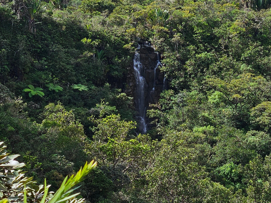 Alexandra Falls-Union Park必去景点