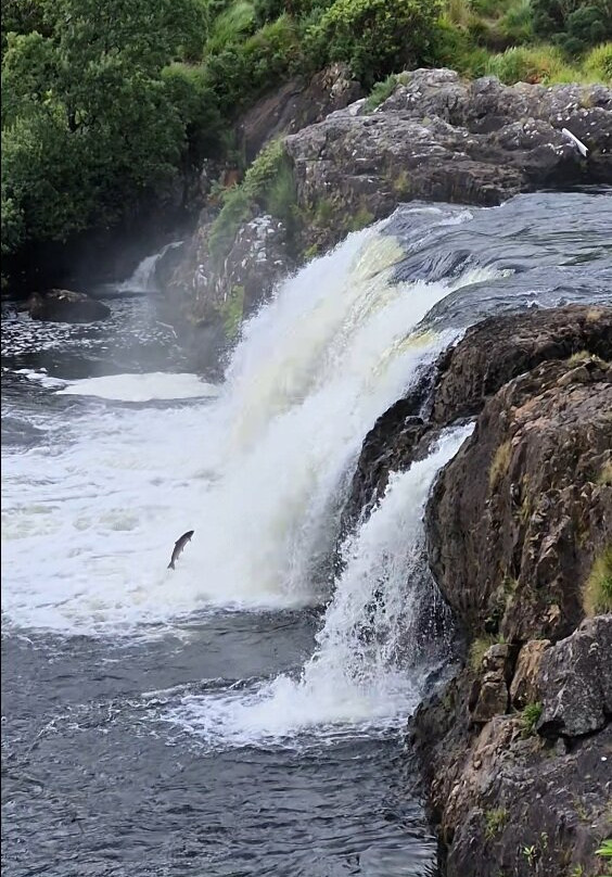 Aasleagh Falls-Aasleagh必去景点
