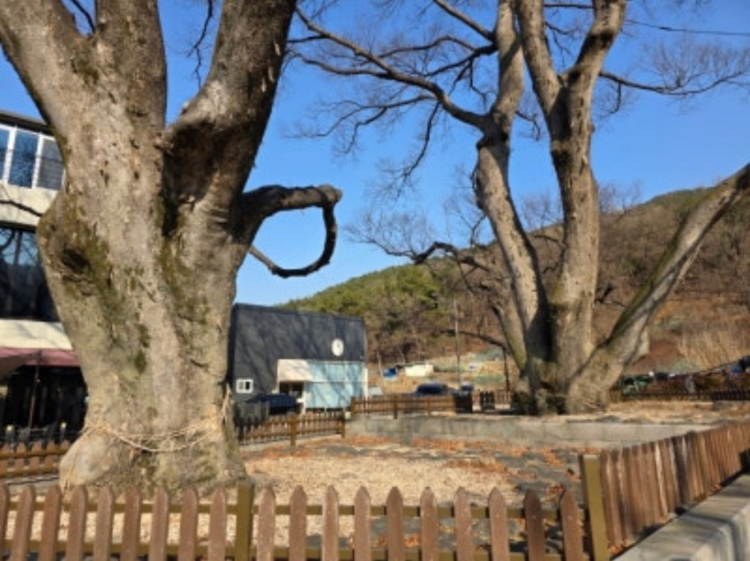 Wolgwang Waterfront Park-大邱必去景点