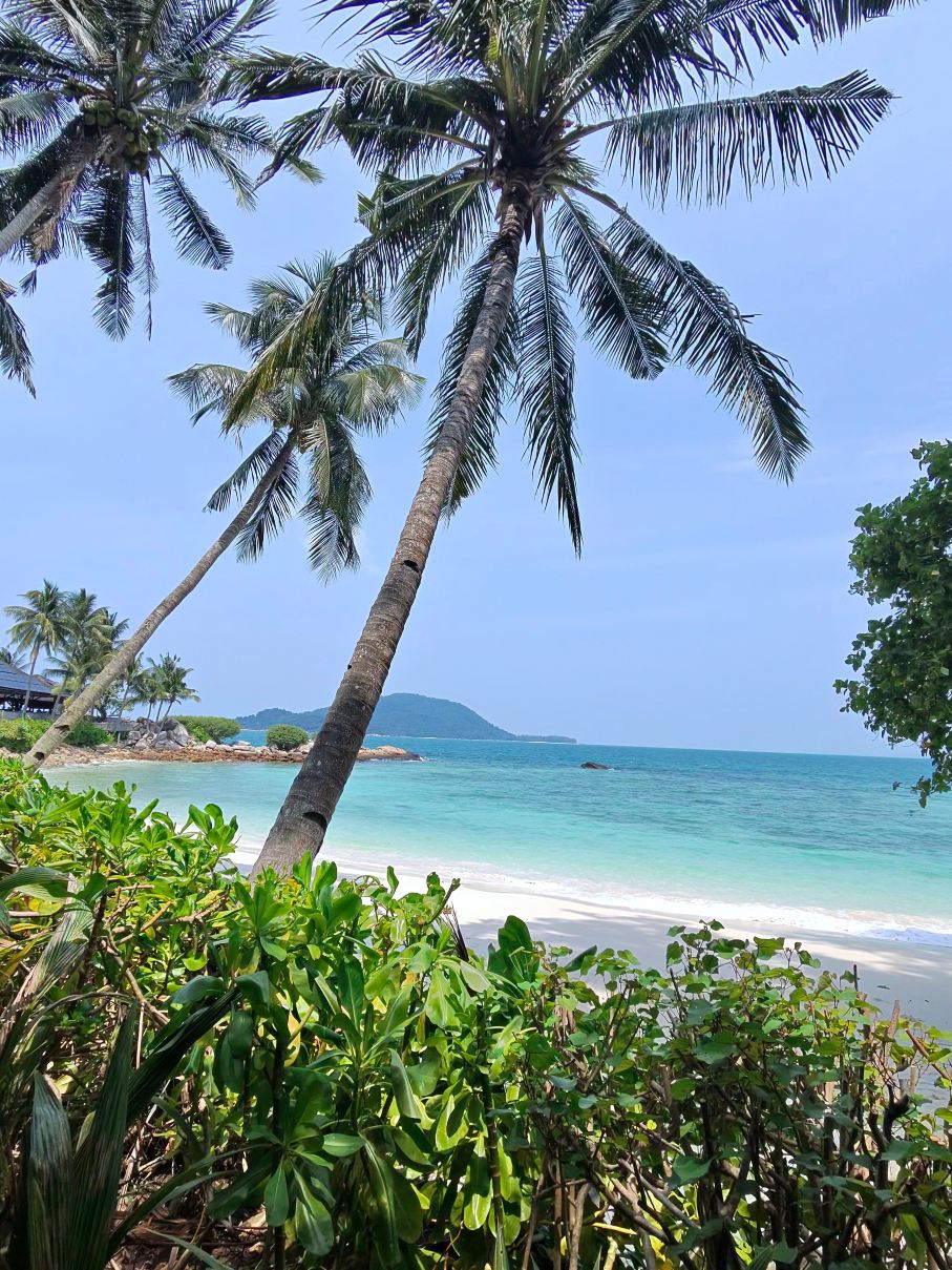 Batu Batu-旅行者