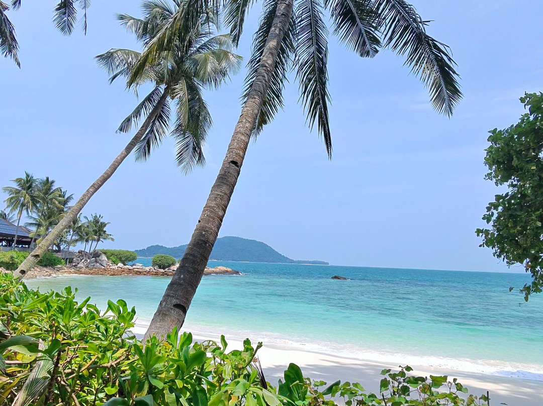 Batu Batu主图