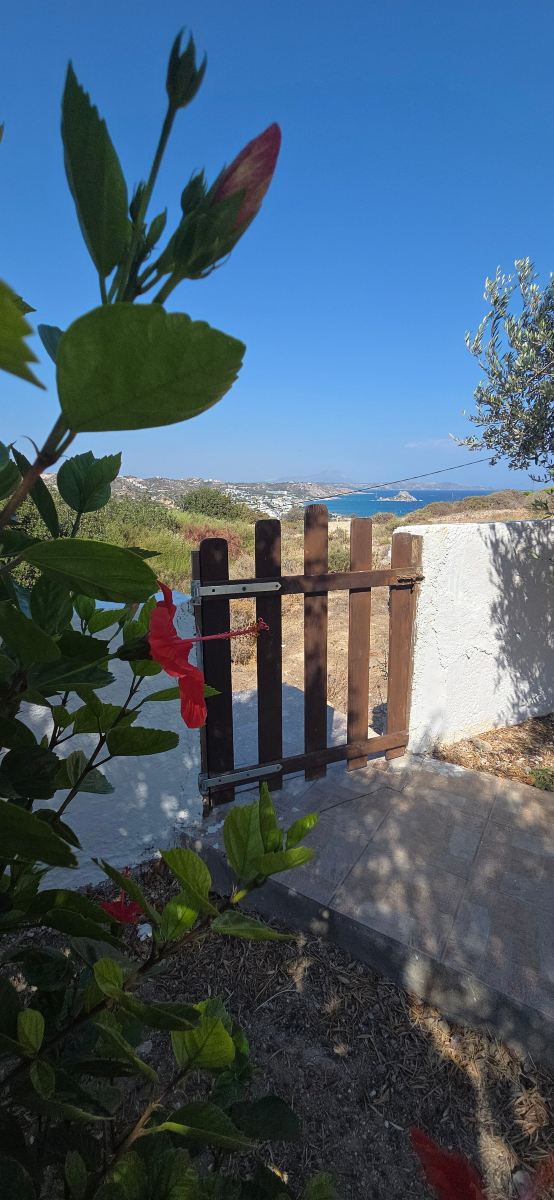 Anthoula Hotel-旅行者