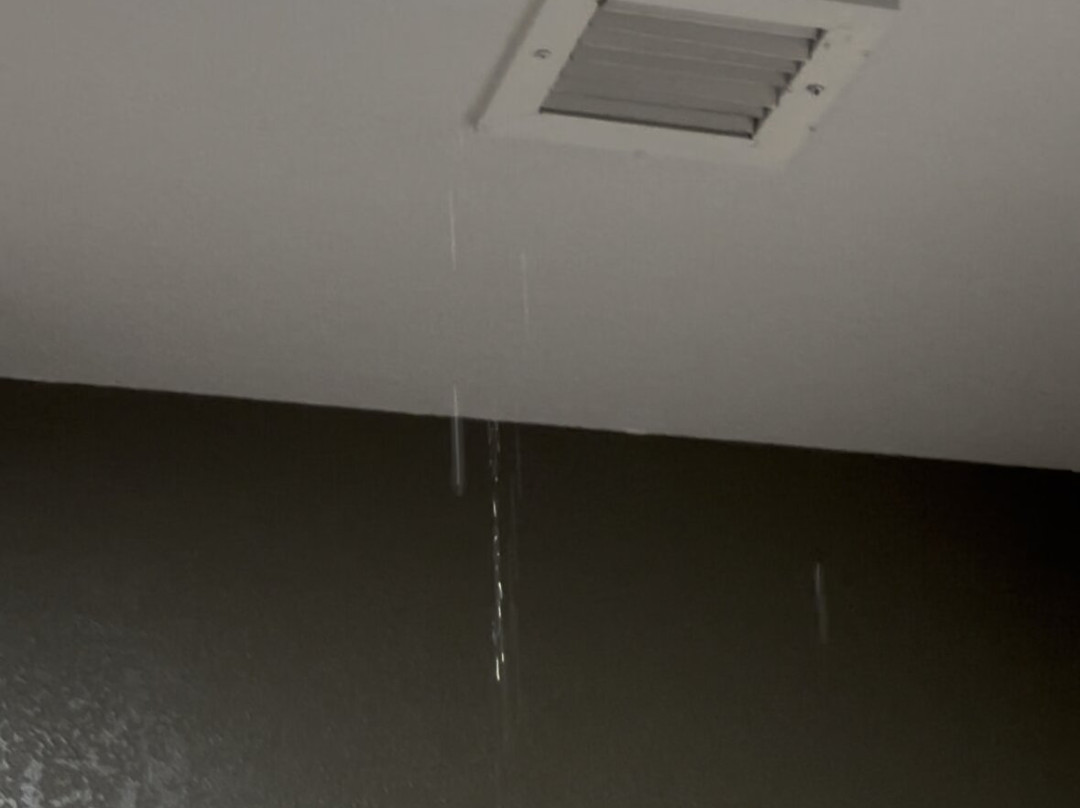 阿纳海姆大狼屋酒店主图