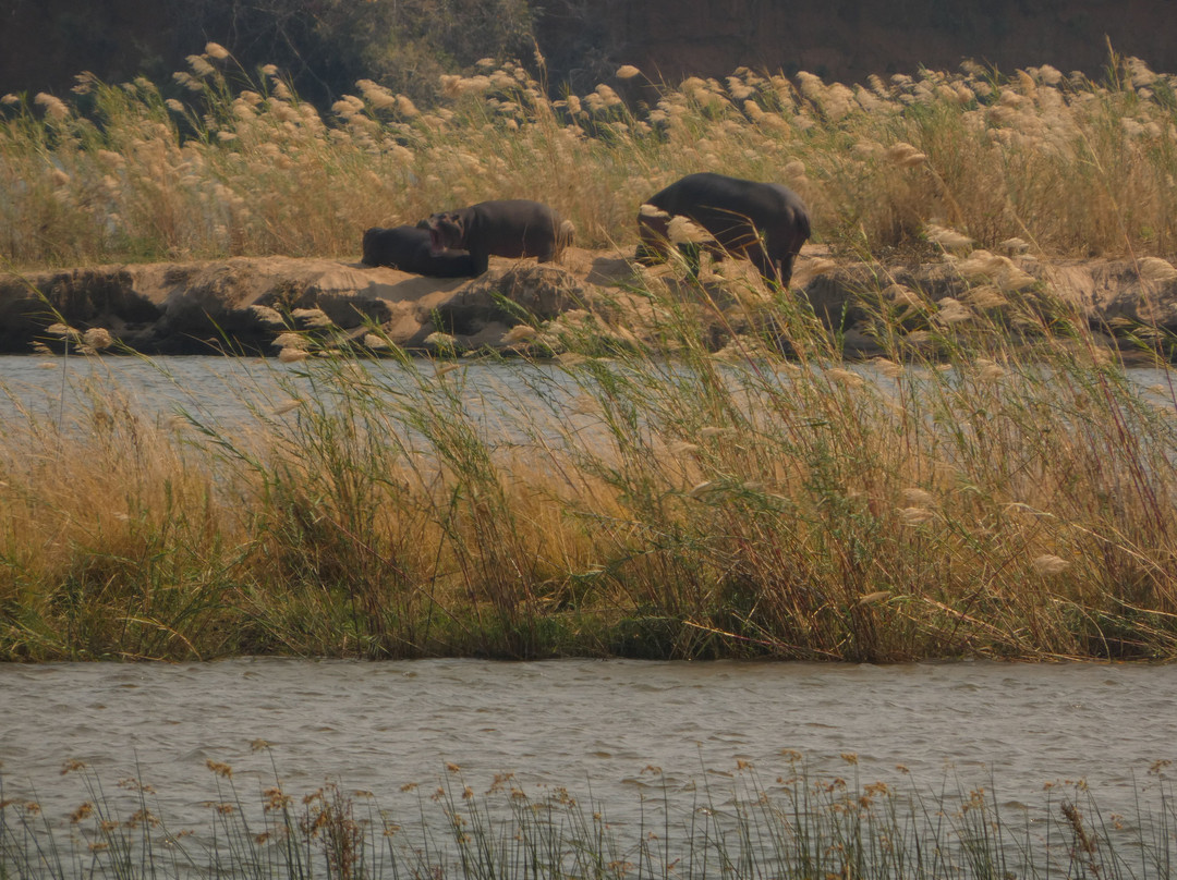River Horse Safaris-Chirundu必去景点