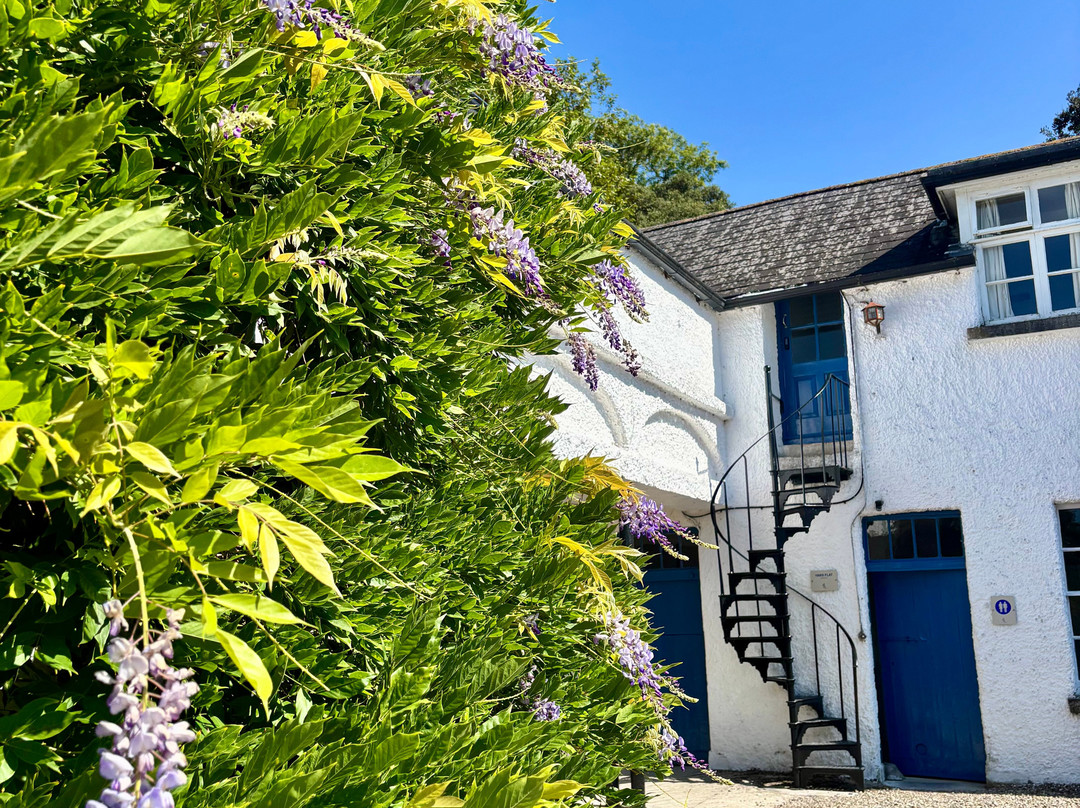 Cappoquin House Gardens-Cappoquin必去景点