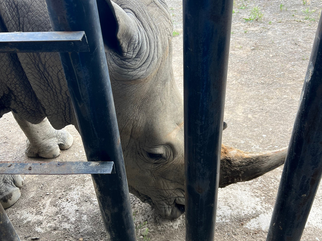 Animal Adventure Park-Harpursville必去景点