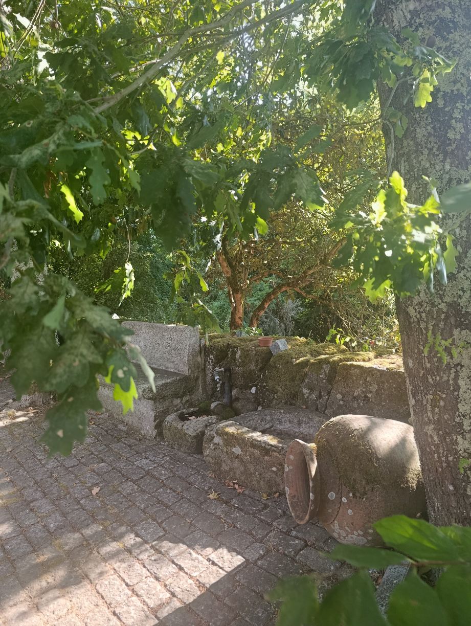 索拉尔迪塞拉德乡村别墅-旅行者
